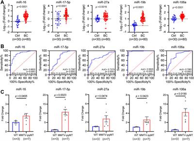 A circulating miR-19b-based model in diagnosis of human breast cancer